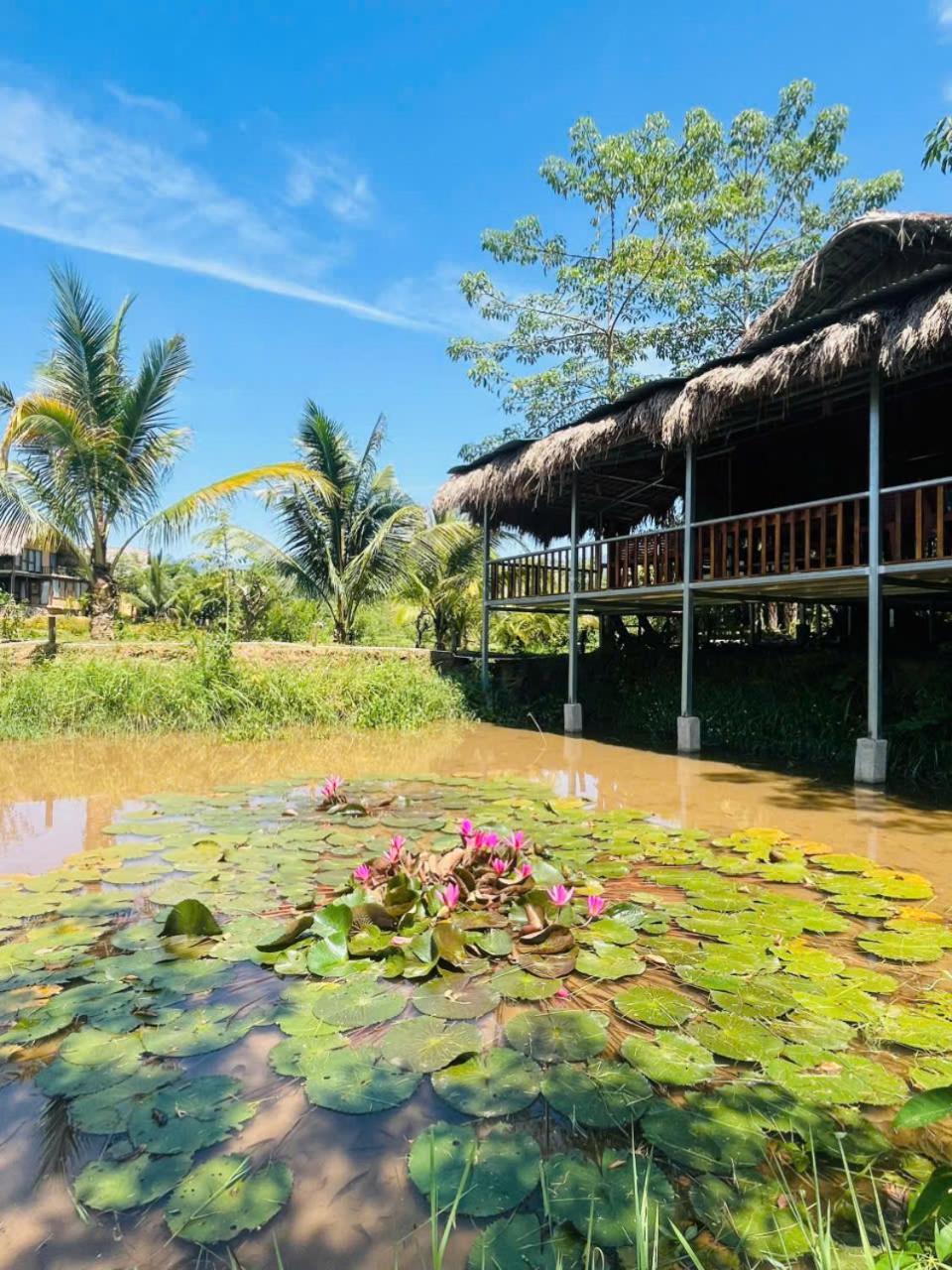 Mai Chau Onsen Retreat Hotel Bagian luar foto